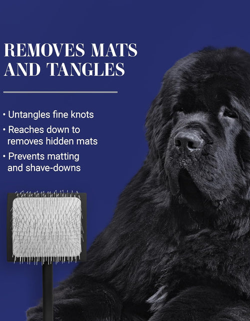 Load image into Gallery viewer, Big K Dog Slicker Brush for Dogs (Goldendoodles, Labradoodles, Poodles), Groom like a Professional, Fluff Detangle Style, Saves Time Energy, Black, Large
